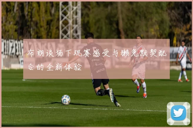 布朗谈场下观赛感受与獭兔默契配合的全新体验