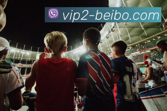 平台展示图